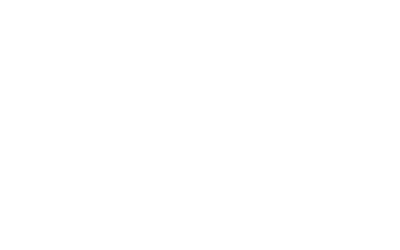 SE IT